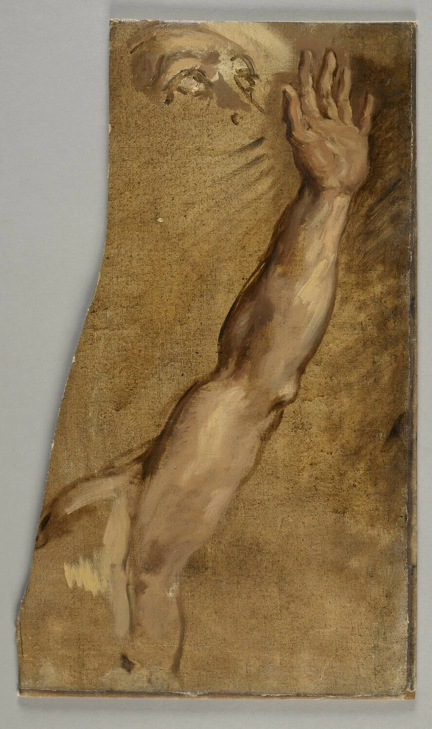 Studio di braccio - Musée du Louvre, Parigi